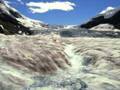 Athabascagletscher