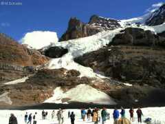 Athabascagletscher