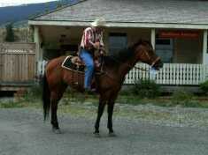 Cowboy